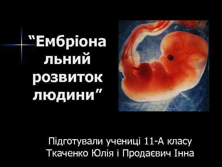 “Ембріона льний розвиток людини” Підготували учениці 11 -А класу Ткаченко Юлія і Продаєвич Інна