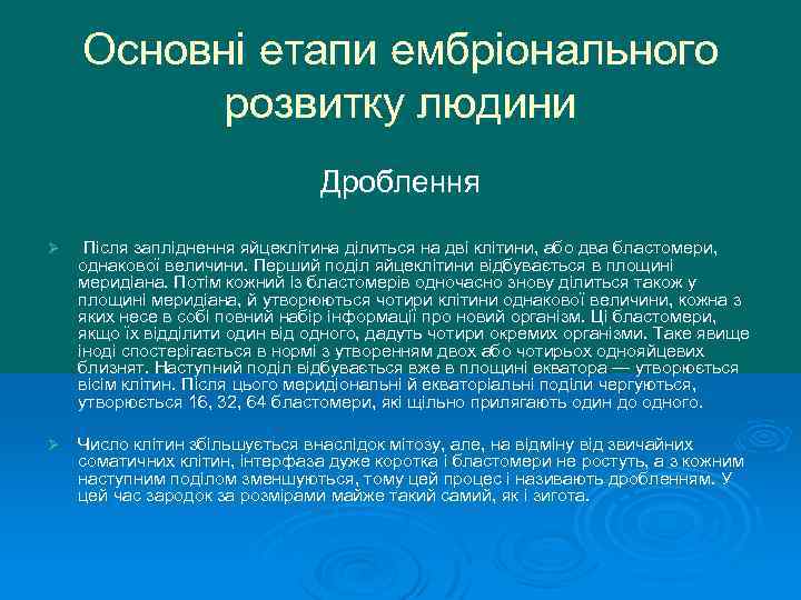 Основні етапи ембріонального розвитку людини Дроблення Ø Після запліднення яйцеклітина ділиться на дві клітини,