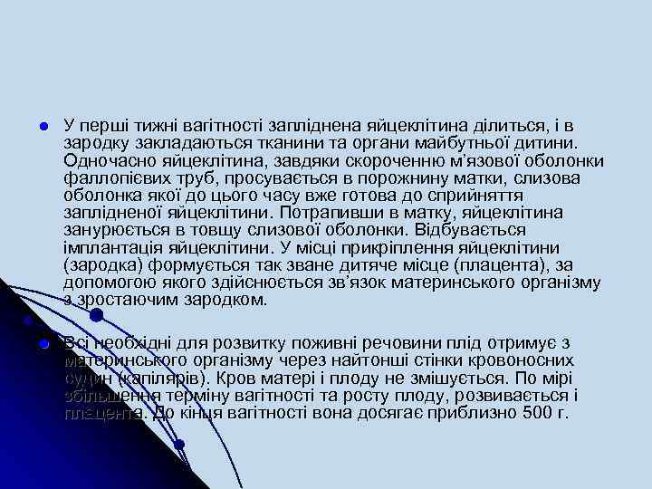 l У перші тижні вагітності запліднена яйцеклітина ділиться, і в зародку закладаються тканини та