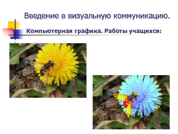 Введение в визуальную коммуникацию. Компьютерная графика. Работы учащихся: 