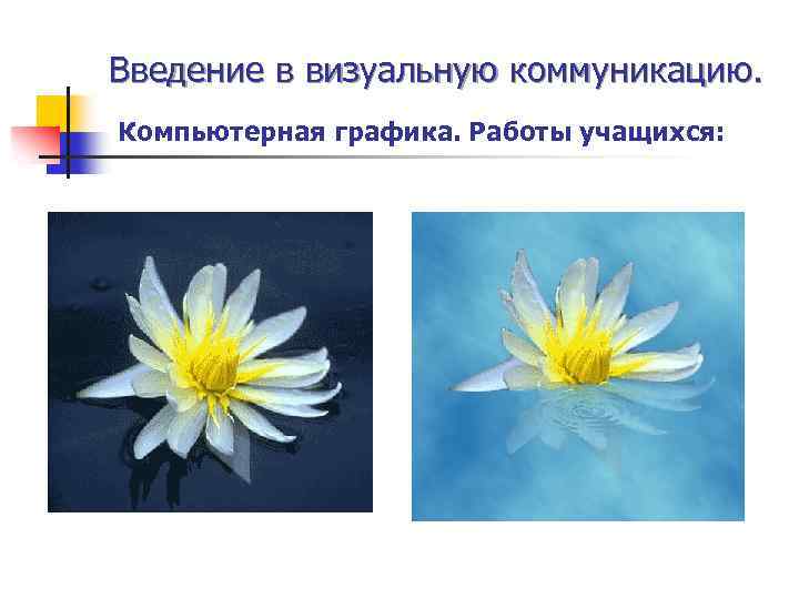 Введение в визуальную коммуникацию. Компьютерная графика. Работы учащихся: 