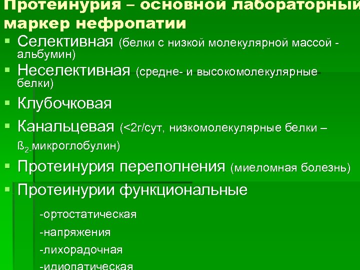 Протеинурия – основной лабораторный маркер нефропатии § Селективная (белки с низкой молекулярной массой альбумин)