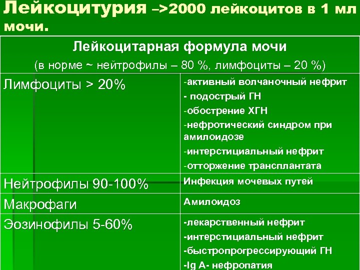 Лейкоцитурия –>2000 лейкоцитов в 1 мл мочи. Лейкоцитарная формула мочи (в норме ~ нейтрофилы