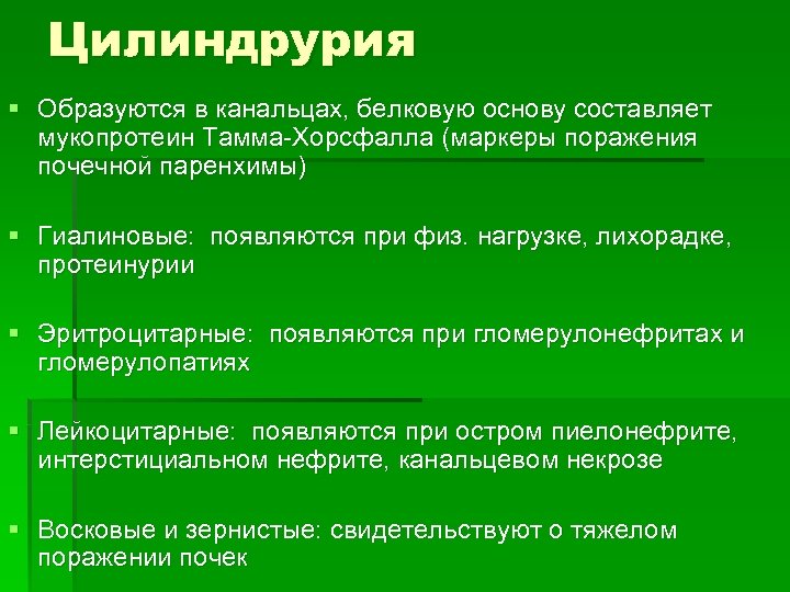 Цилиндрурия § Образуются в канальцах, белковую основу составляет мукопротеин Тамма-Хорсфалла (маркеры поражения почечной паренхимы)