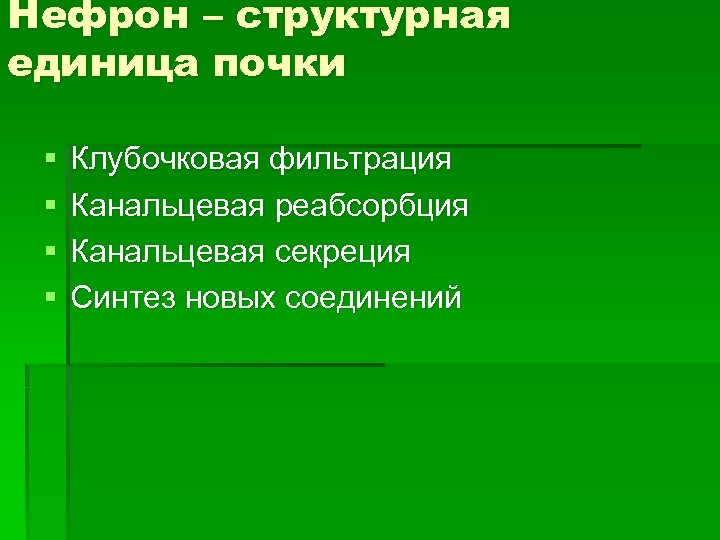 Нефрон – структурная единица почки § § Клубочковая фильтрация Канальцевая реабсорбция Канальцевая секреция Синтез