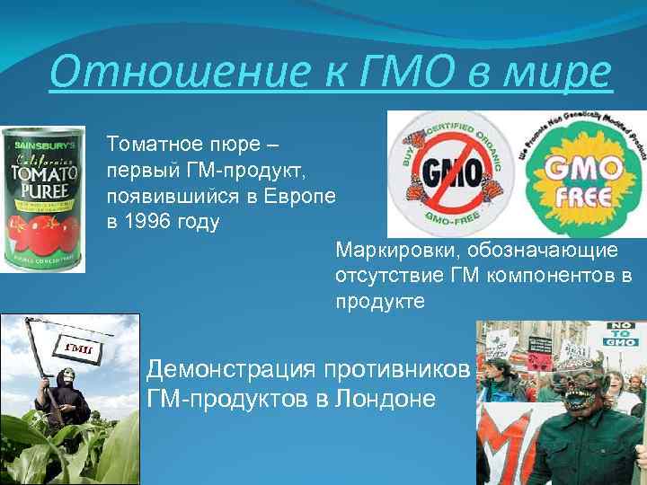 Отношение к ГМО в мире Томатное пюре – первый ГМ-продукт, появившийся в Европе в