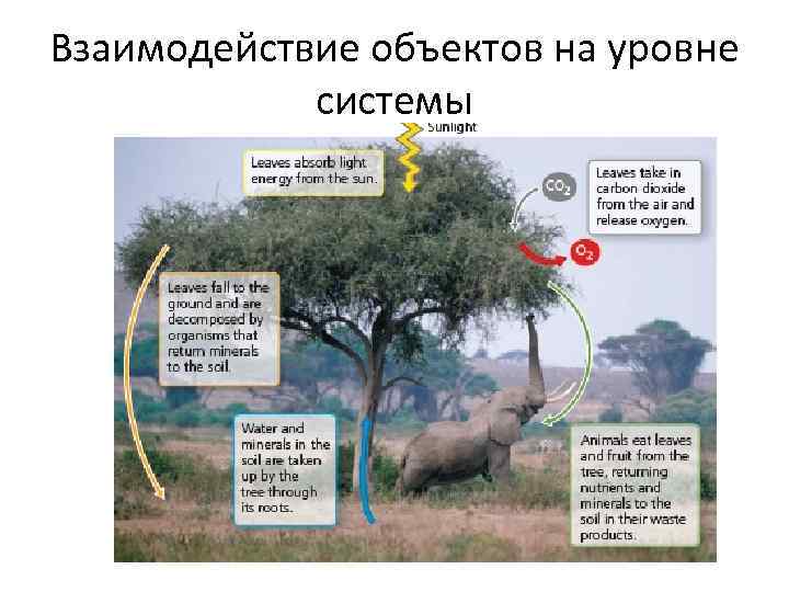 Взаимодействие объектов на уровне системы 