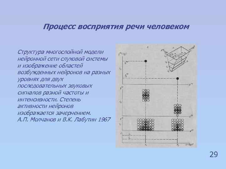 Процесс восприятия речи человеком Структура многослойной модели нейронной сети слуховой системы и изображение областей