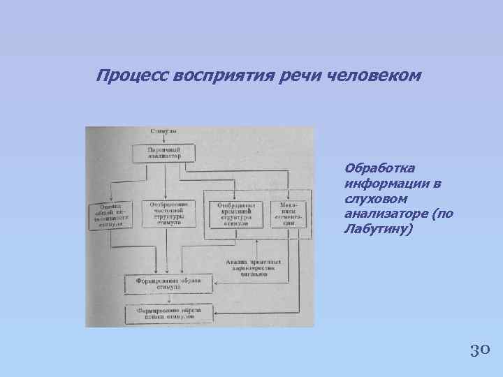 Процесс восприятия речи человеком Обработка информации в слуховом анализаторе (по Лабутину) 30 