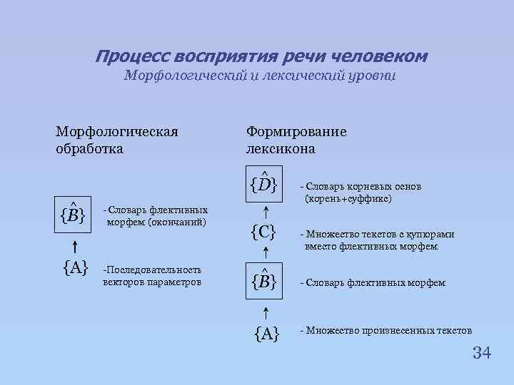 Процесс восприятия речи человеком Морфологический и лексический уровни Морфологическая обработка Формирование лексикона ^ {D}