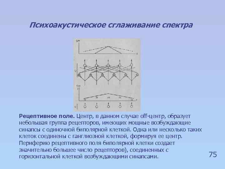 Психоакустическое сглаживание спектра Рецептивное поле. Центр, в данном случае off-центр, образует небольшая группа рецепторов,