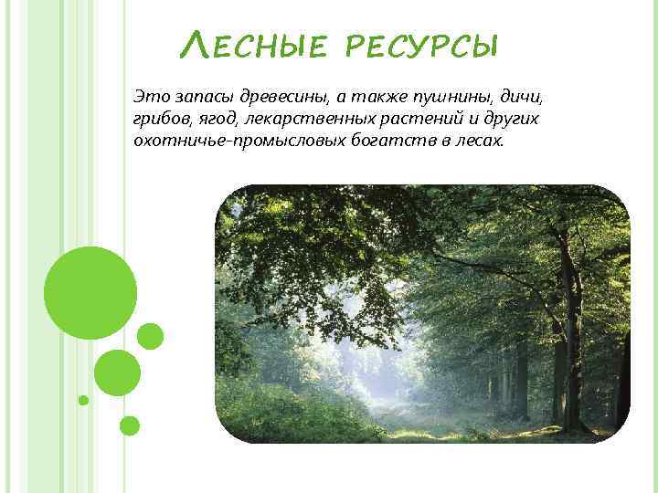 Лесные ресурсы презентация