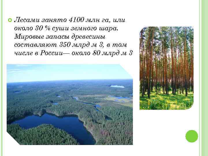  Лесами занято 4100 млн га, или около 30 % суши земного шара. Мировые