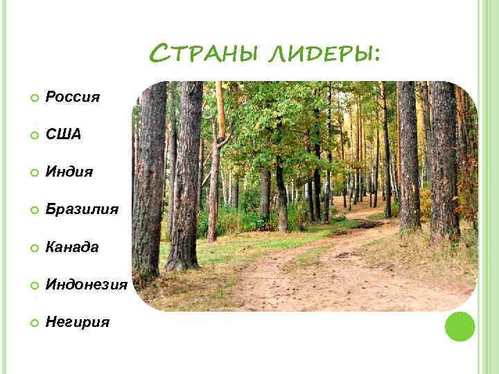 СТРАНЫ ЛИДЕРЫ: Россия США Индия Бразилия Канада Индонезия Негирия 