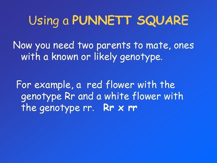 Using a PUNNETT SQUARE Now you need two parents to mate, ones with a