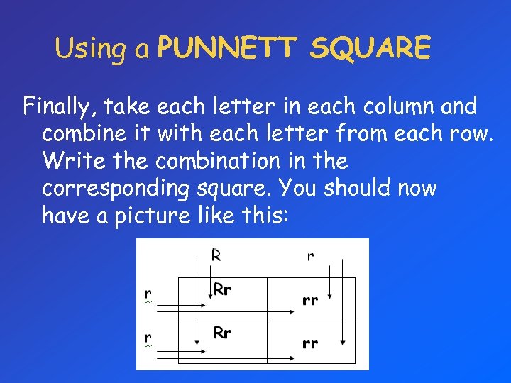 Using a PUNNETT SQUARE Finally, take each letter in each column and combine it