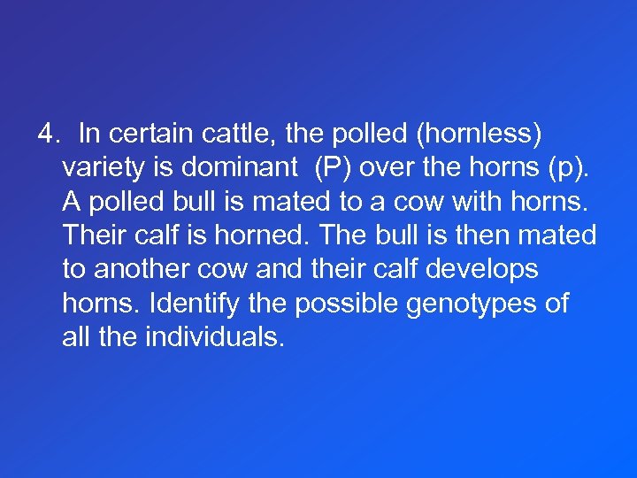 4. In certain cattle, the polled (hornless) variety is dominant (P) over the horns