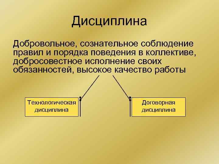 Дисциплина Добровольное, сознательное соблюдение правил и порядка поведения в коллективе, добросовестное исполнение своих обязанностей,