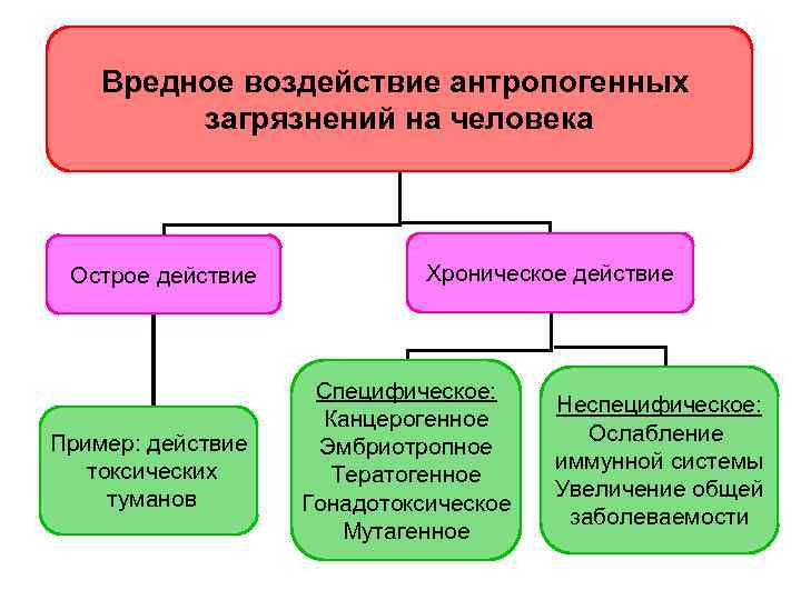 Вредное воздействие антропогенных загрязнений на человека Острое действие Пример: действие токсических туманов Хроническое действие