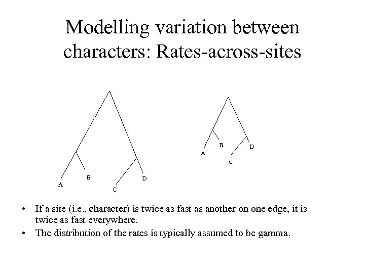 Modelling variation between characters: Rates-across-sites B D A C B A D C •