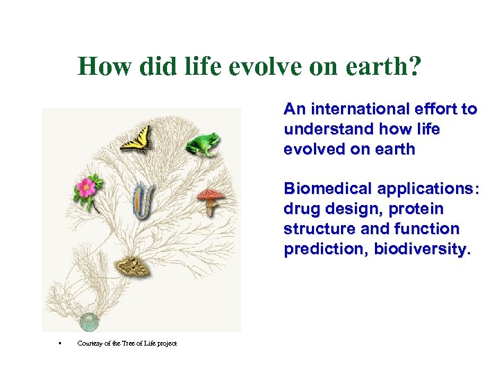 How did life evolve on earth? An international effort to understand how life evolved