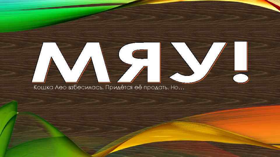 Кошка Лео взбесилась. Придётся её продать. Но… 