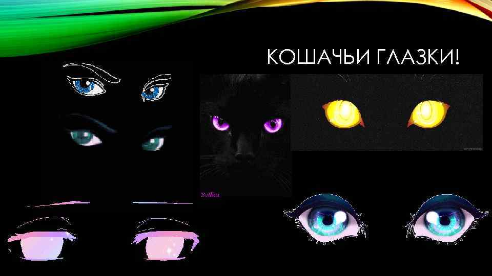 КОШАЧЬИ ГЛАЗКИ! 