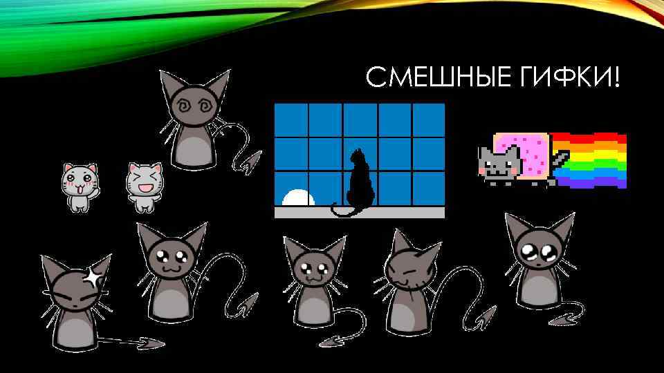 СМЕШНЫЕ ГИФКИ! 