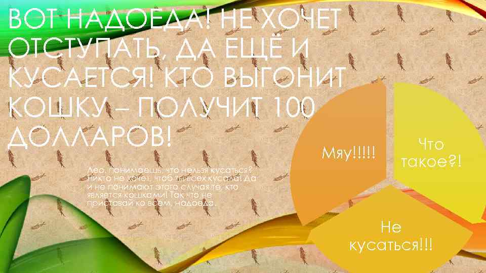 ВОТ НАДОЕДА! НЕ ХОЧЕТ ОТСТУПАТЬ, ДА ЕЩЁ И КУСАЕТСЯ! КТО ВЫГОНИТ КОШКУ – ПОЛУЧИТ