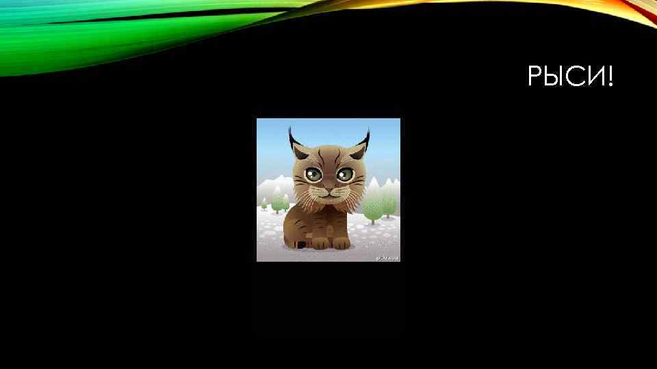 РЫСИ! 