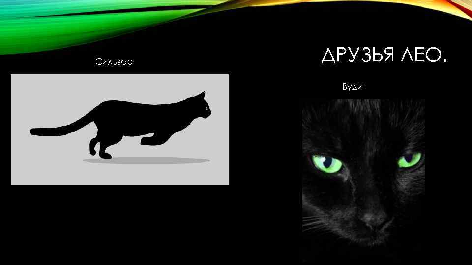 Сильвер ДРУЗЬЯ ЛЕО. Вуди 
