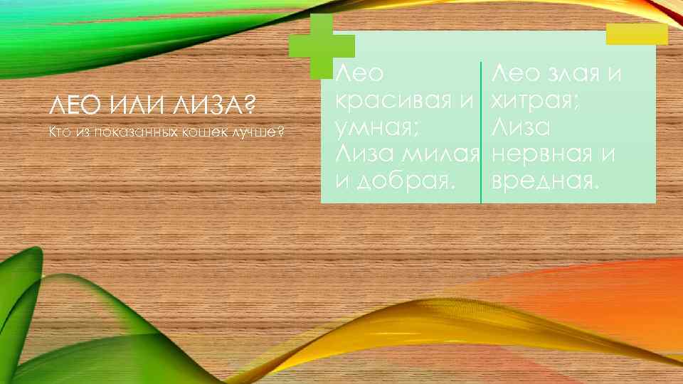 ЛЕО ИЛИ ЛИЗА? Кто из показанных кошек лучше? Лео красивая и умная; Лиза милая