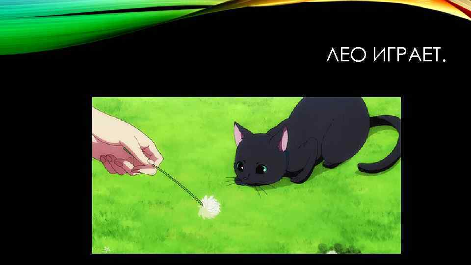 ЛЕО ИГРАЕТ. 