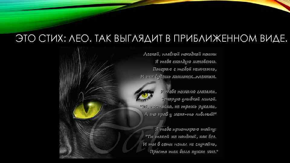 ЭТО СТИХ: ЛЕО. ТАК ВЫГЛЯДИТ В ПРИБЛИЖЕННОМ ВИДЕ. 