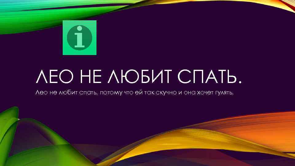 ЛЕО НЕ ЛЮБИТ СПАТЬ. Лео не любит спать, потому что ей так скучно и