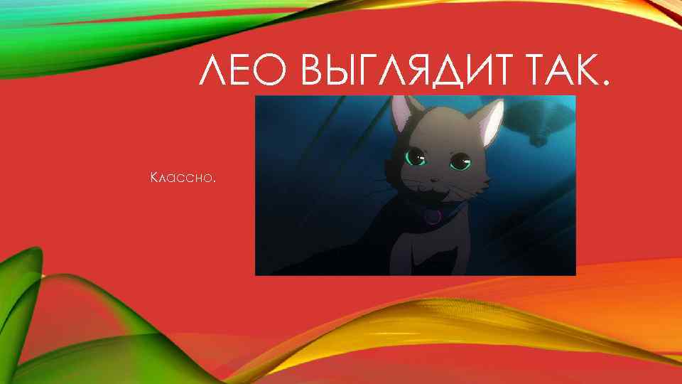 ЛЕО ВЫГЛЯДИТ ТАК. Классно. 