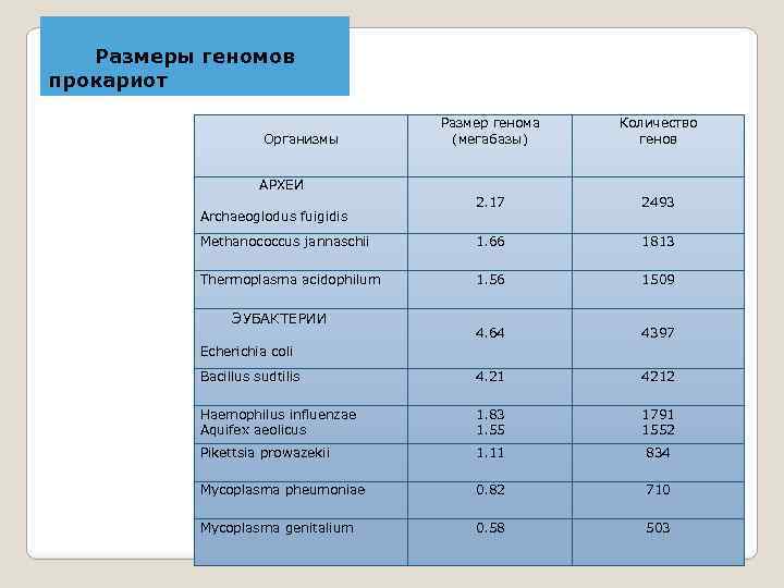  Размеры геномов прокариот Организмы АРХЕИ Archaeoglodus fuigidis Размер генома (мегабазы) Количество генов 2.