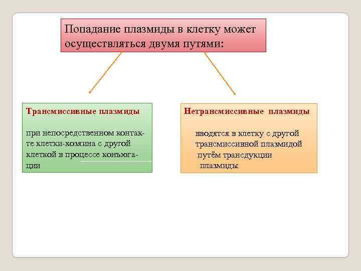 Попадание плазмиды в клетку может осуществляться двумя путями: Трансмиссивные плазмиды Нетрансмиссивные плазмиды при непосредственном