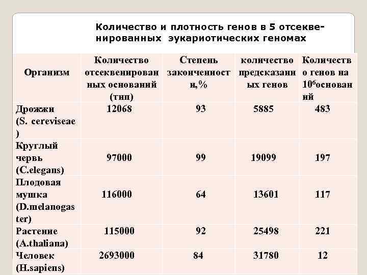 Количество и плотность генов в 5 отсеквенированных эукариотических геномах Организм Количество отсеквенирован ных оснований