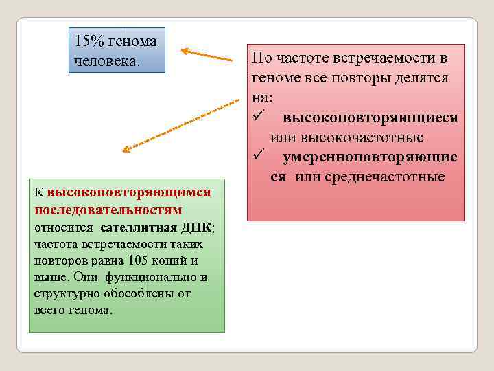 15% генома человека. К высокоповторяющимся последовательностям относится сателлитная ДНК; частота встречаемости таких повторов равна