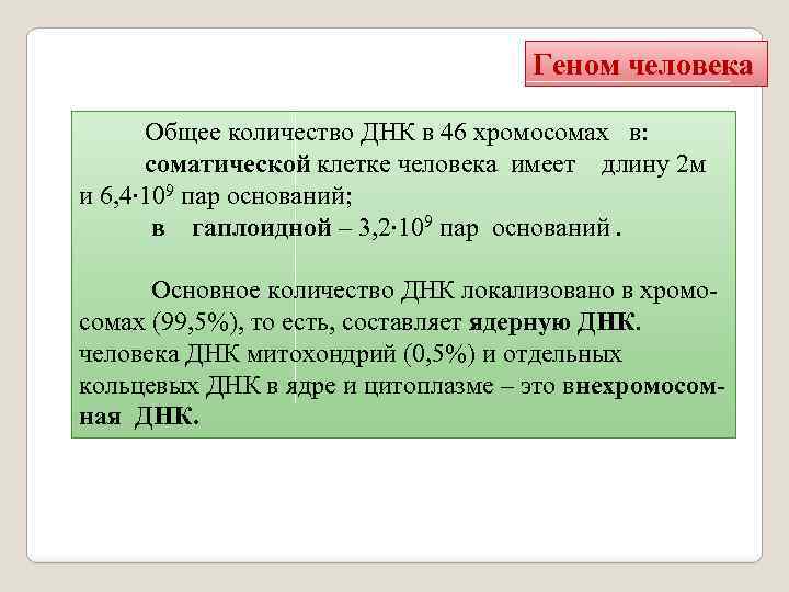 Числа днк. Количество молекул ДНК В ядерном геноме человека. Общая характеристика генома человека. Количество ДНК В клетке человека. Количество молекул ДНК В геноме человека.