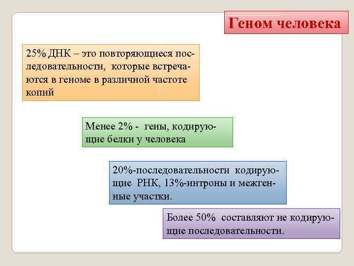Геном человека 25% ДНК – это повторяющиеся пос ледовательности, которые встреча ются в геноме