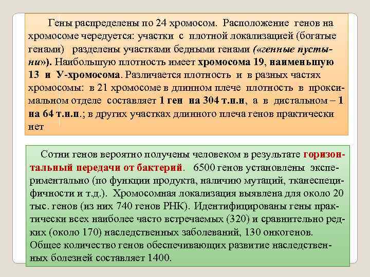  Гены распределены по 24 хромосом. Расположение генов на хромосоме чередуется: участки с плотной