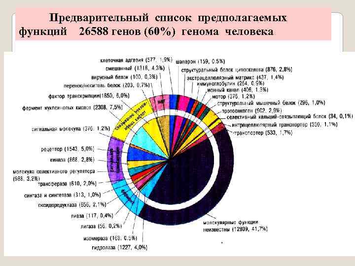  Предварительный список предполагаемых функций 26588 генов (60%) генома человека 
