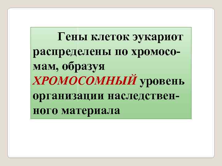  Гены клеток эукариот распределены по хромосомам, образуя ХРОМОСОМНЫЙ уровень организации наследственного материала 