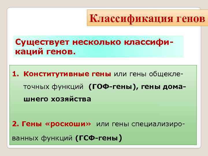 Классификация генов Существует несколько классификаций генов. 1. Конститутивные гены или гены общеклеточных функций (ГОФ-гены),