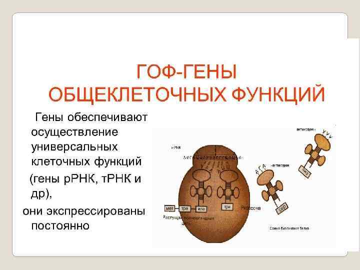 Какие сведения содержит карта какими способами передается содержание