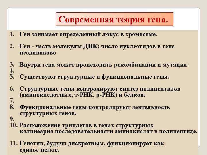 Современные представления о гене и геноме презентация 10 класс сивоглазов