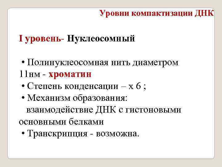 Уровни компактизации ДНК I уровень Нуклеосомный • Полинуклеосомная нить диаметром 11 нм хроматин •
