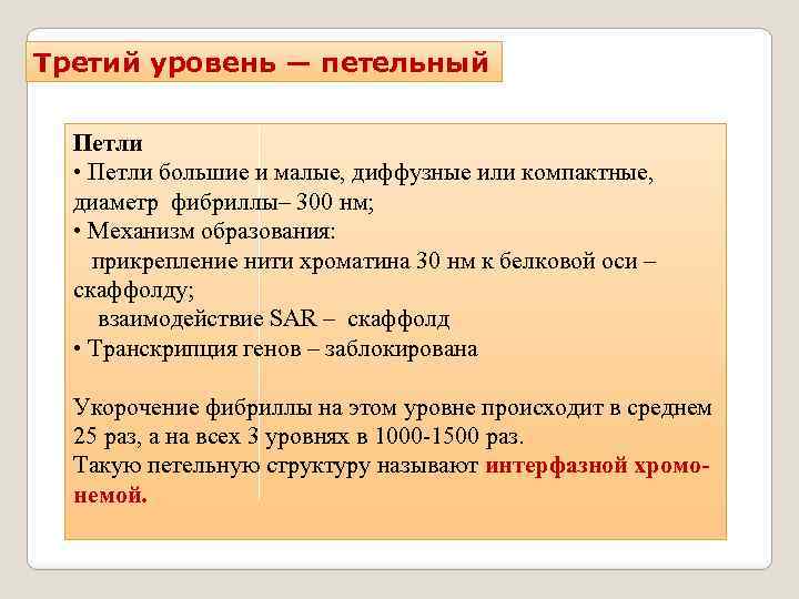 Третий уровень — петельный Петли • Петли большие и малые, диффузные или компактные, диаметр